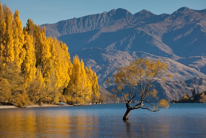 Lake-wanaka