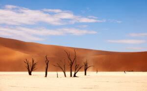 dead-vlei-namibia